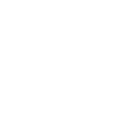 Mirror Logo